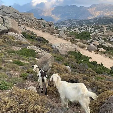 Galatea House First Floor With Terraces * Kato Klisma