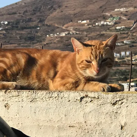 아파트 Galatea House First Floor With Terraces Kato Klisma