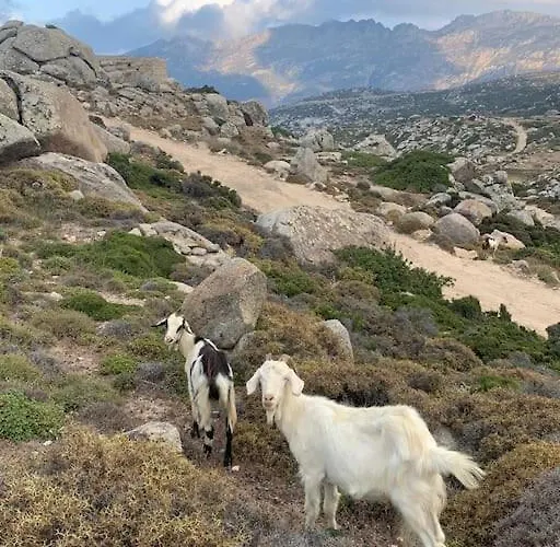 Galatea House First Floor With Terraces * Kato Klisma