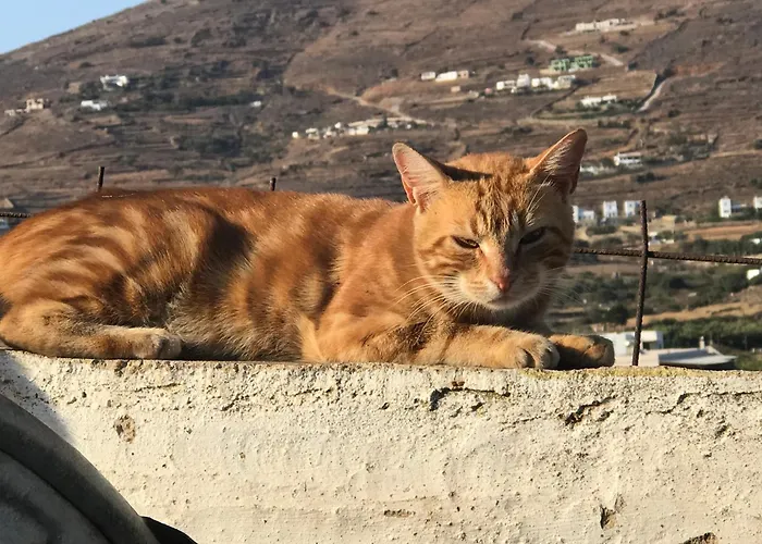 Apartman Galatea House First Floor With Terraces Kato Klisma